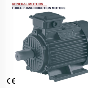 CSM General Motors Three Phase Induction Motor