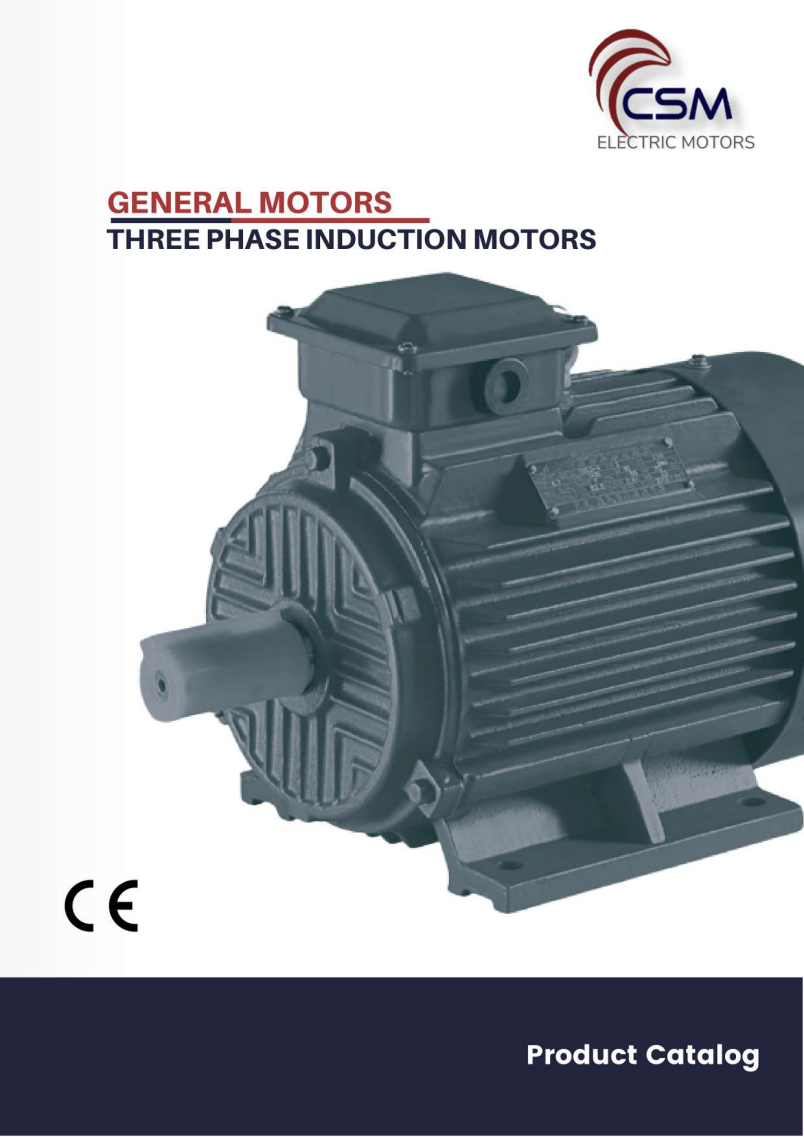 CSM General Motors Three Phase Induction Motor